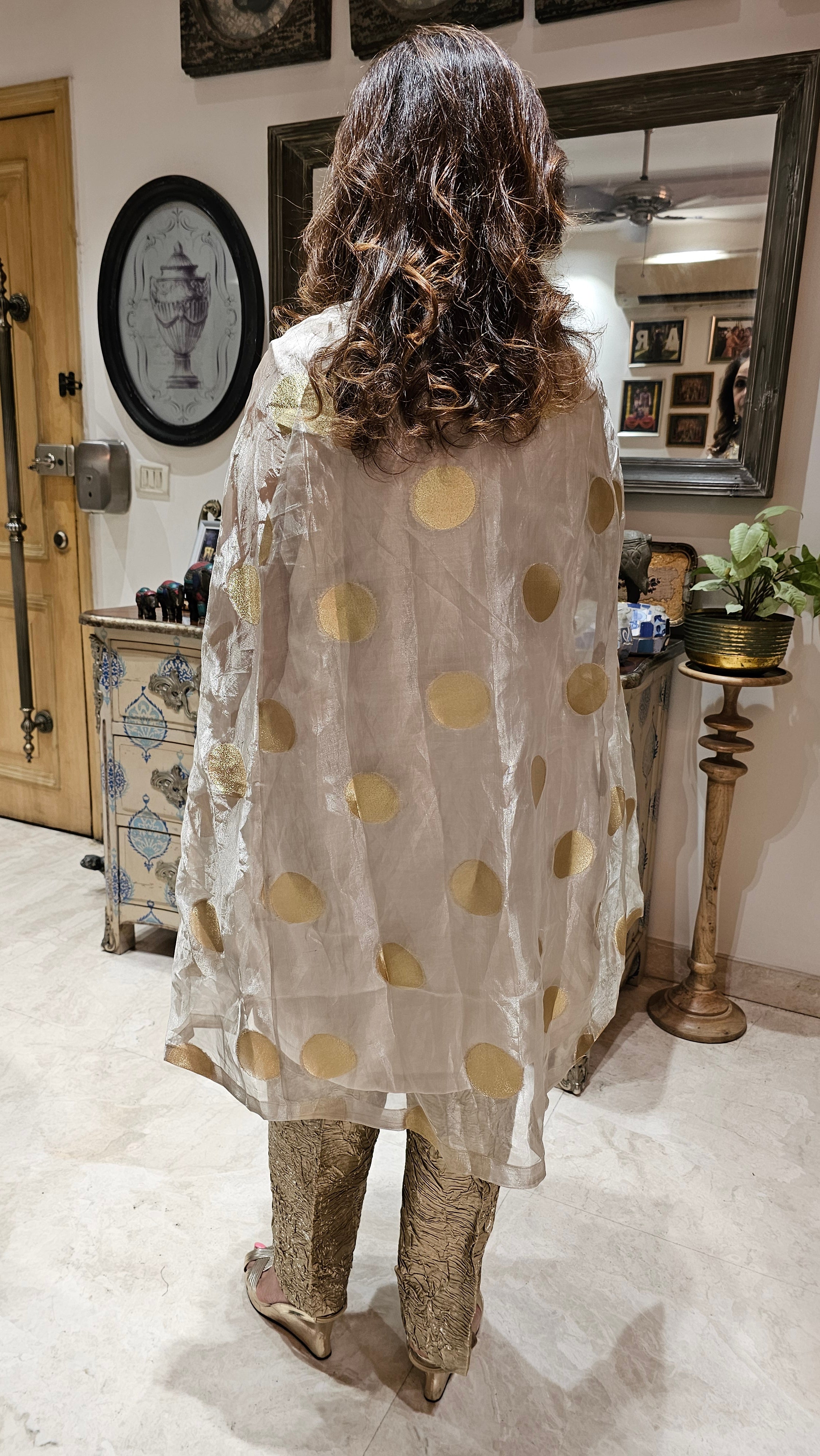 Exquisite Banarasi Organza 3-Piece Outfit featuring Satin Slip, Banarasi Pants, Polki Dot Organza Top & Jewelled Neck Embellishment