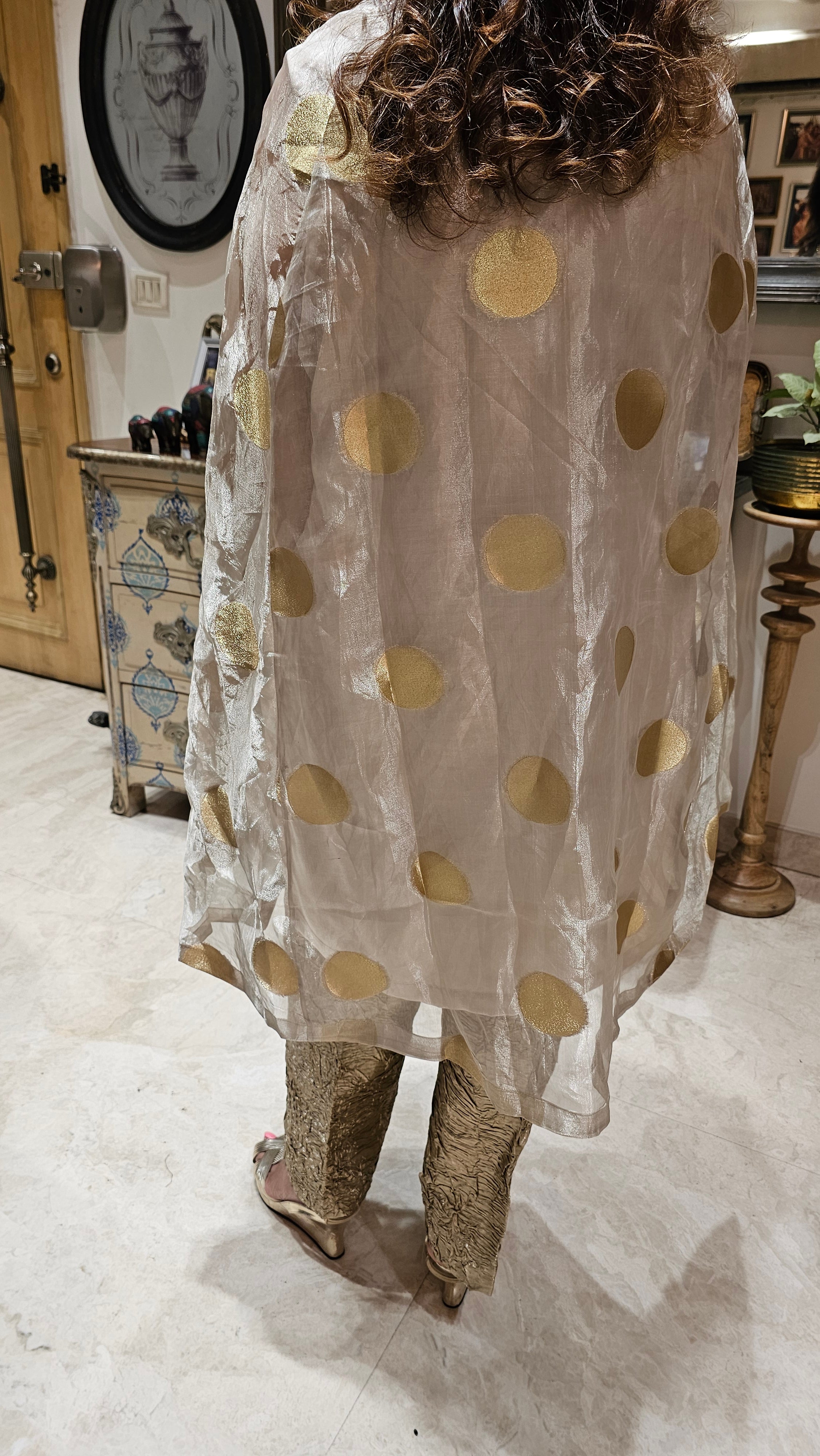 Exquisite Banarasi Organza 3-Piece Outfit featuring Satin Slip, Banarasi Pants, Polki Dot Organza Top & Jewelled Neck Embellishment