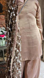 Beautiful Wispy Tissue Top & Bottom With Jali Dupatta
