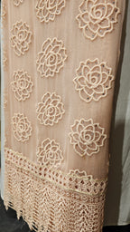 Beautiful Chiffon Fabric Suit trimmed With Patch Work