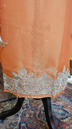 Beautiful Tissue Shimmer Unstitched Suit With Neem Zari Work