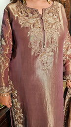 Stunning Tissue Fabric Suit with Pants Embellished with Hand Work