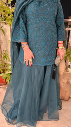 Teal Blue Gharara 3 Piece Set in Pure Organza With Dori Embroidery and Handwork
