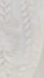 Ivory Gharara 3 Piece Set in Pure Organza With Dori Embroidery and Handwork With Dupatta