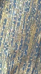 Golden Shimmer Georgette Top and Bottom With Mirror Work